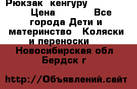 Рюкзак -кенгуру Baby Bjorn  › Цена ­ 2 000 - Все города Дети и материнство » Коляски и переноски   . Новосибирская обл.,Бердск г.